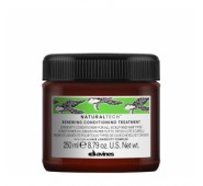 DAVINES Renewing plaukų kondicionierius galvos odos bei plaukų gerai savijautai ir ilgaamžiškumui, 250 ml