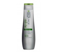 MATRIX BIOLAGE FIBERSTRONG stiprinantis plaukus šampūnas, 250 ml.
